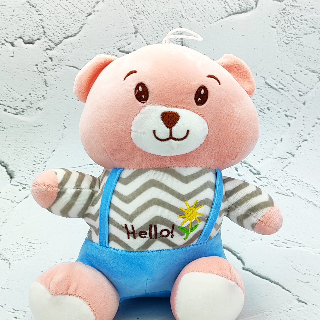 Dress Bear Plush Toy