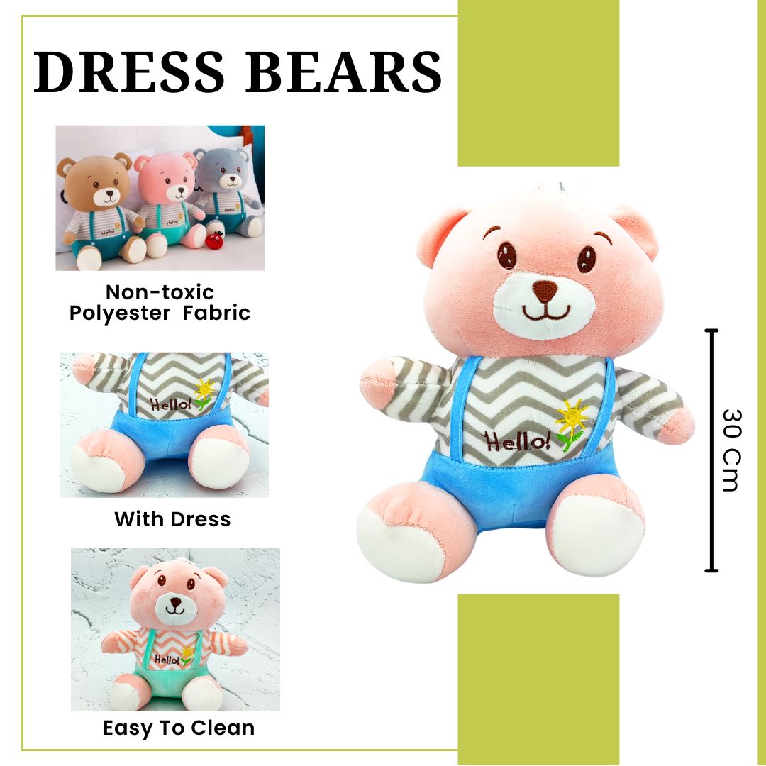 Dress Bear Plush Toy